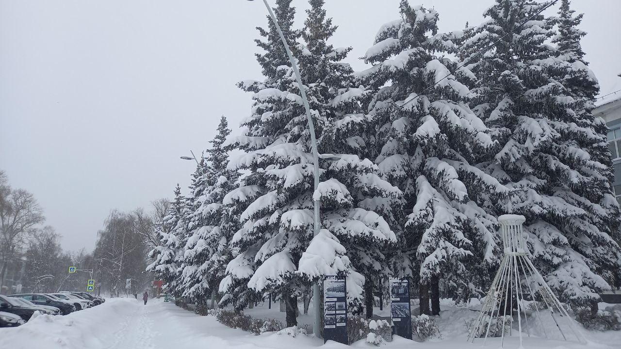 Погода в Бугульме в воскресенье, 14 января | 14.01.2024 | Бугульма -  БезФормата