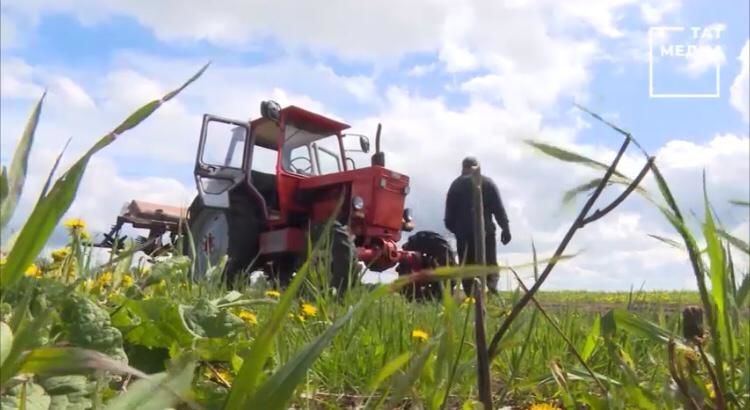 69 семей в Бугульминском районе получили бесплатную землю для посадки урожая