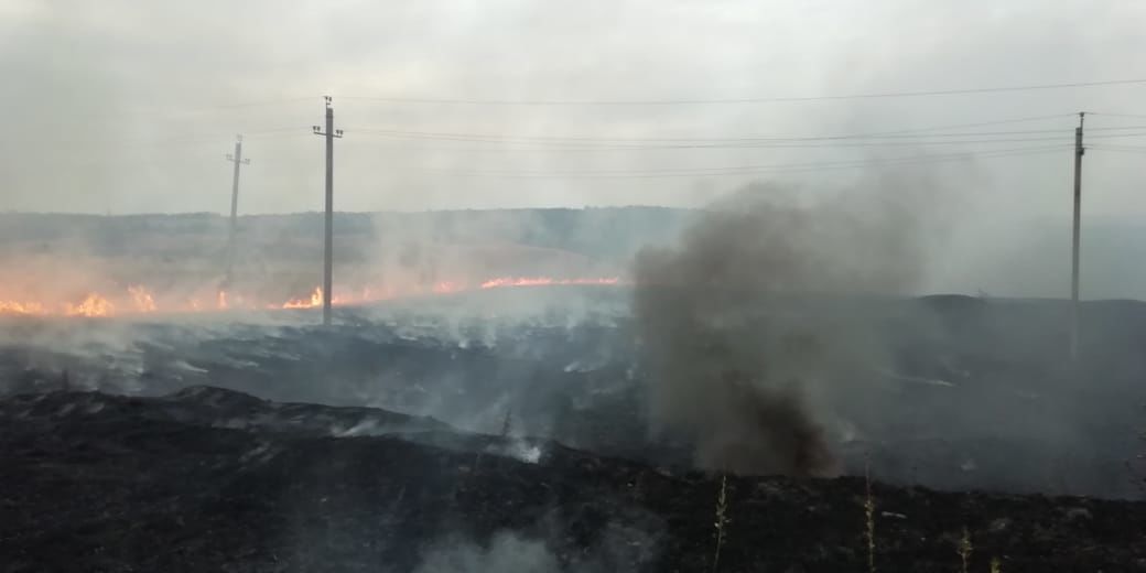 В Бугульминском районе загорелась сухая трава (ФОТОРЕПОРТАЖ)
