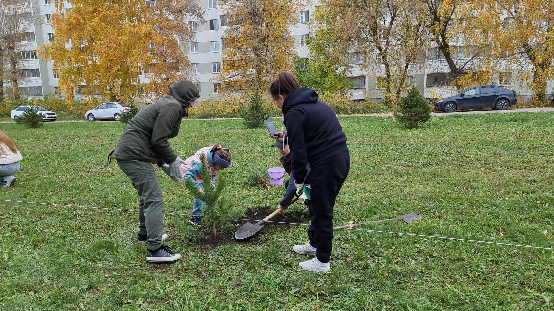 В Бугульме активисты высадили почти 3 000 саженцев деревьев