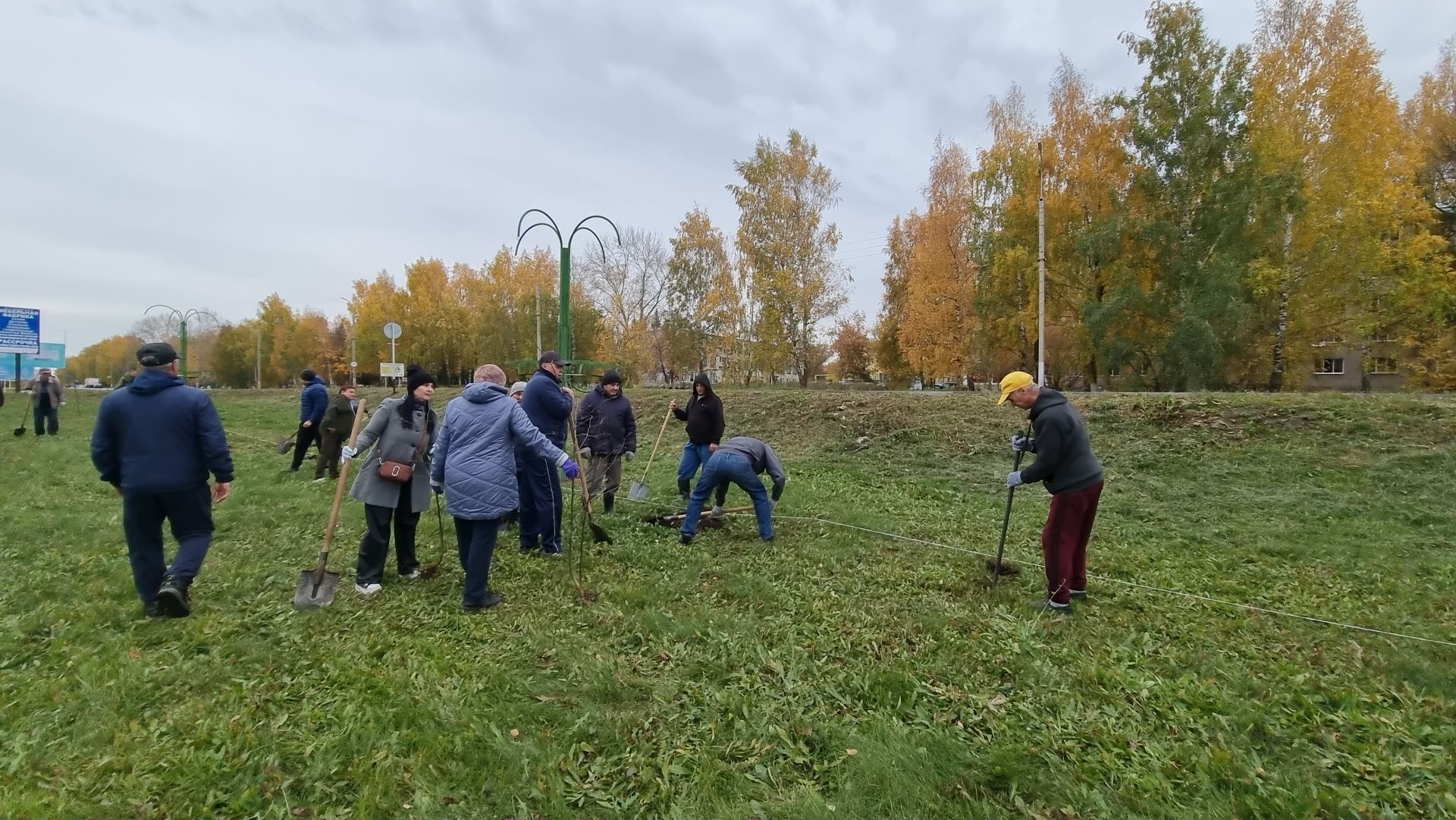 В Бугульме активисты высадили почти 3 000 саженцев деревьев