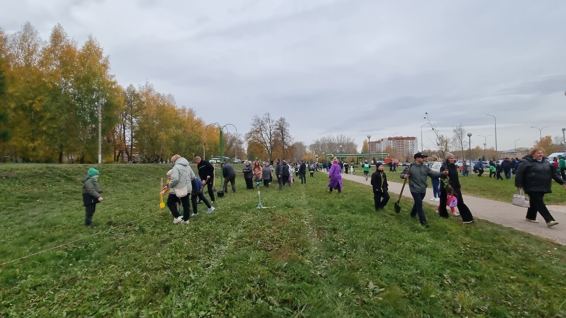 В Бугульме активисты высадили почти 3 000 саженцев деревьев