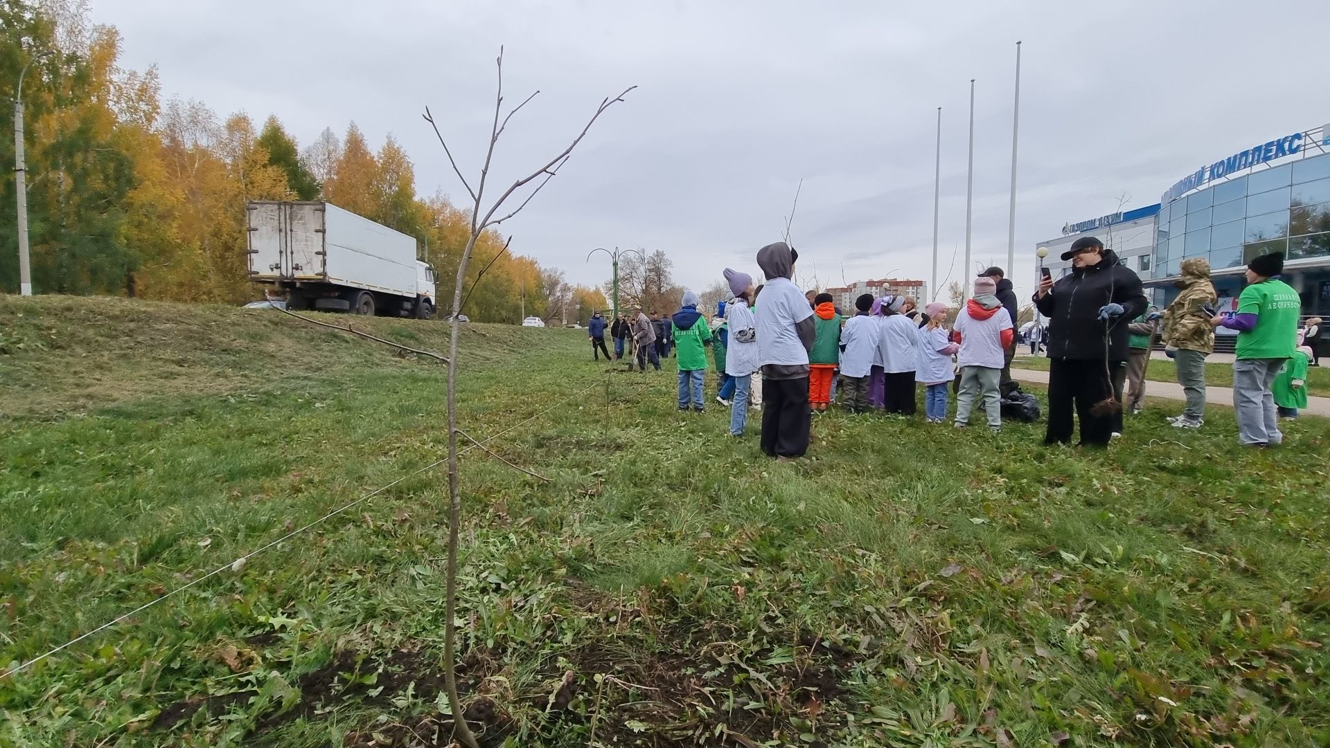 В Бугульме активисты высадили почти 3 000 саженцев деревьев