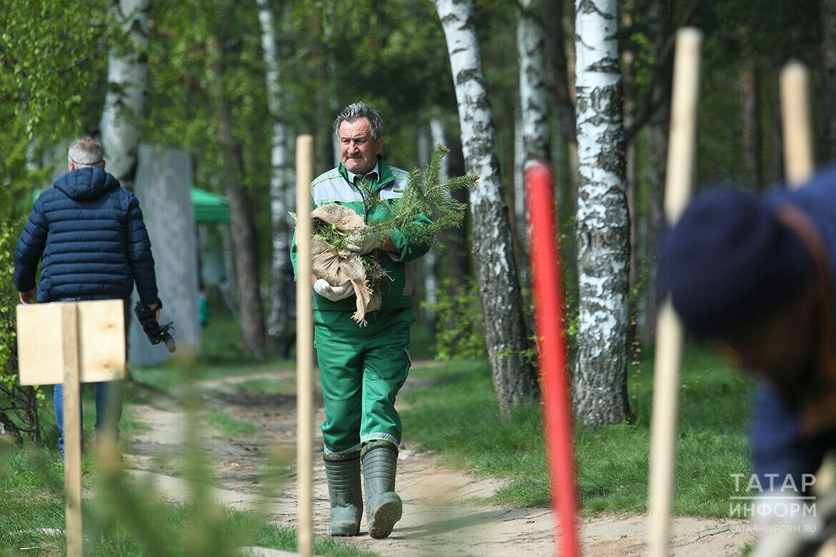 За время акции «Сад памяти» в Татарстане посадили 1,5 млн саженцев