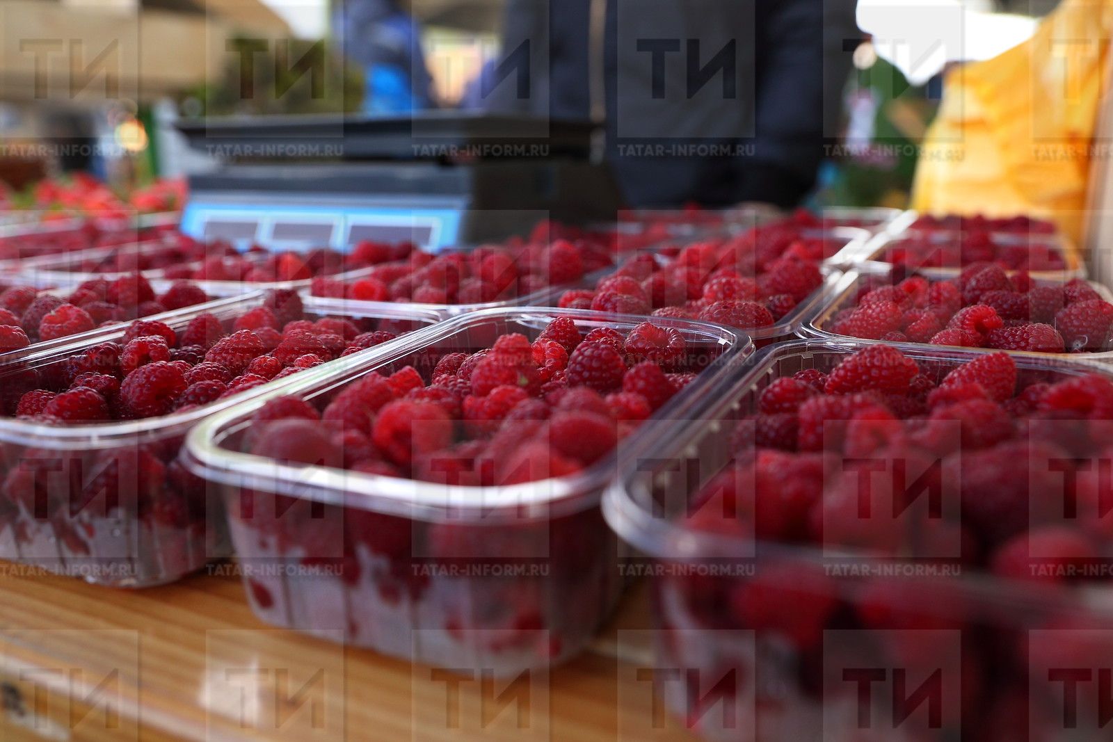 Как получить хороший урожай малины и клубники