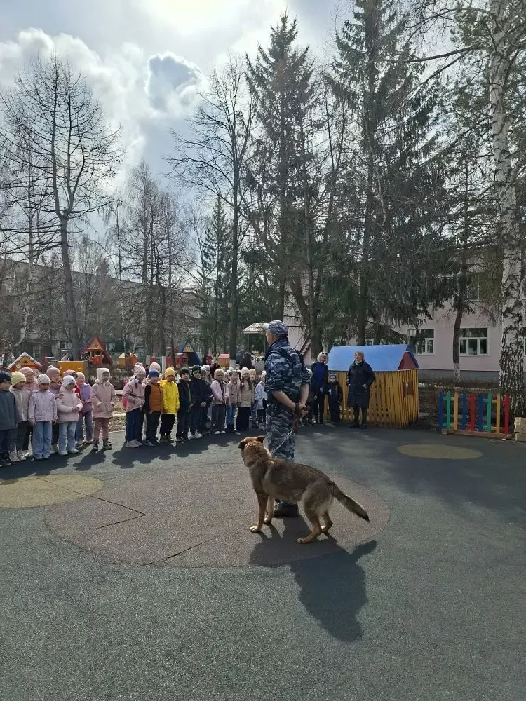 Кинолог и служебная собака научили бугульминских дошкольников безопасному поведению при встрече с бродячими животными