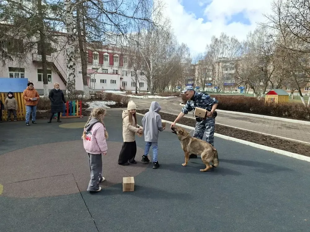Кинолог и служебная собака научили бугульминских дошкольников безопасному поведению при встрече с бродячими животными