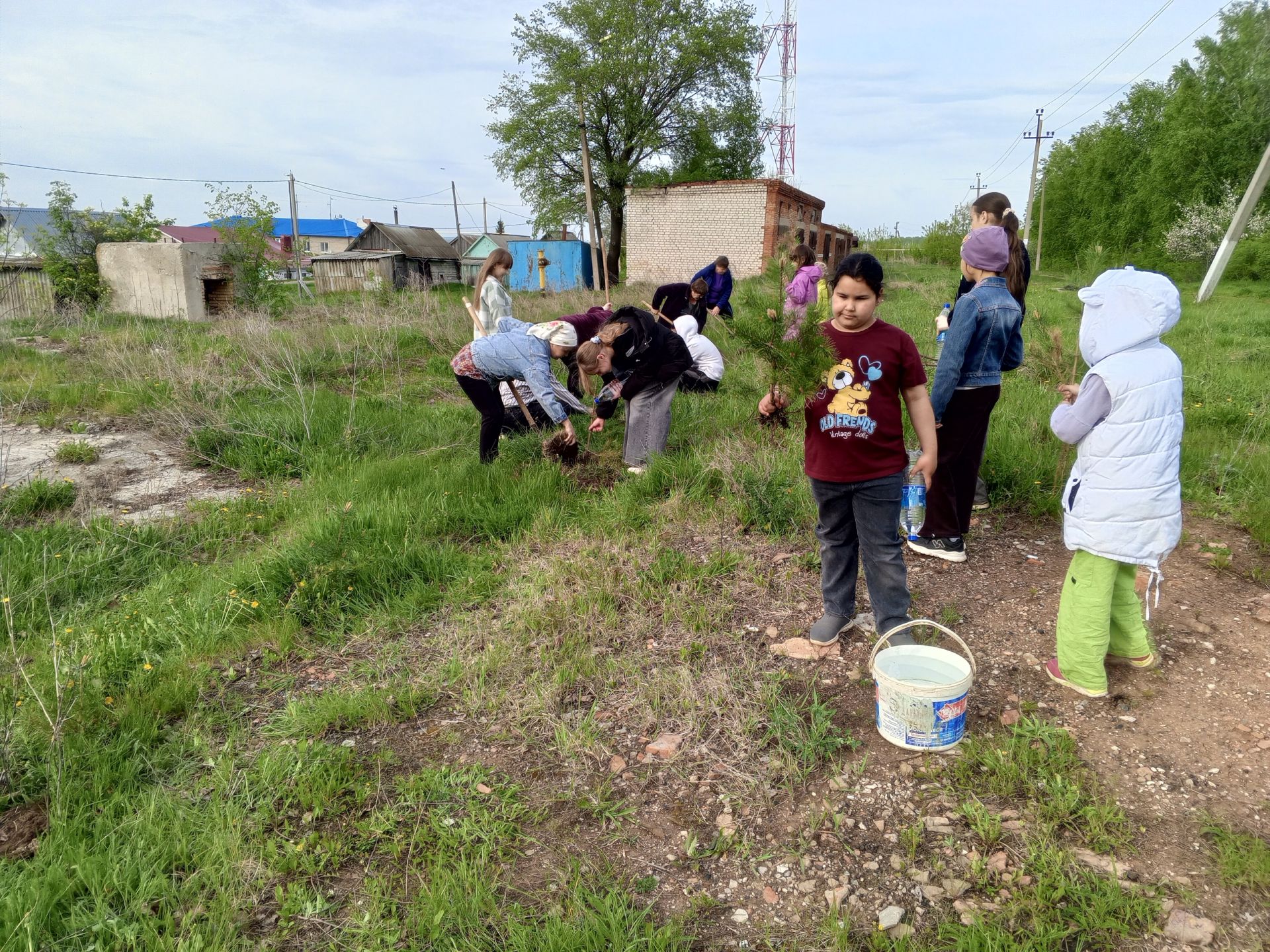 В Бугульминском районе провели экологическую акцию «День посадки леса»