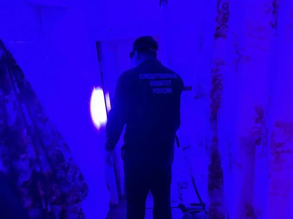 Житель Бугульмы предстанет перед судом за пожар, в котором погибла его мать
