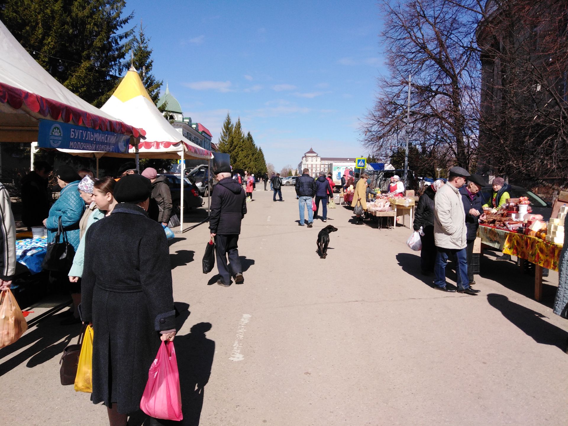 На центральной площади Бугульмы проходит сельскохозяйственная ярмарка (20.04.2019)