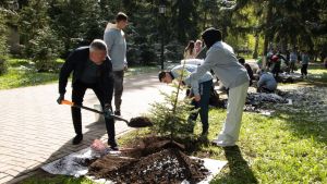 Бугульма присоединилась к Международной акции «Сад Памяти»