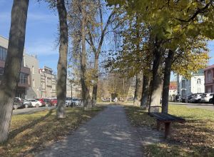 Синоптики обещают теплую погоду в Бугульме 17 октября