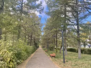 Облачная погода ожидается  в Бугульме в воскресенье 11 октября