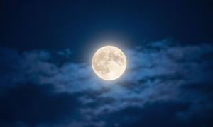 Близнецам нужно сосредоточиться на целях, а Львам держать эмоции под контролем