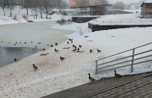 Во вторник в Бугульме переменная облачность