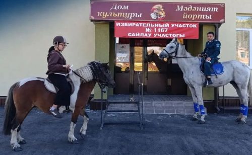 Семья из Бугульминского района приехала на выборы на коне
