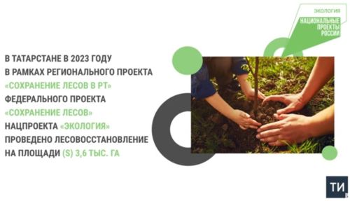 В Татарстане работы по лесовосстановлению проведены на площади 3,6 тыс. га