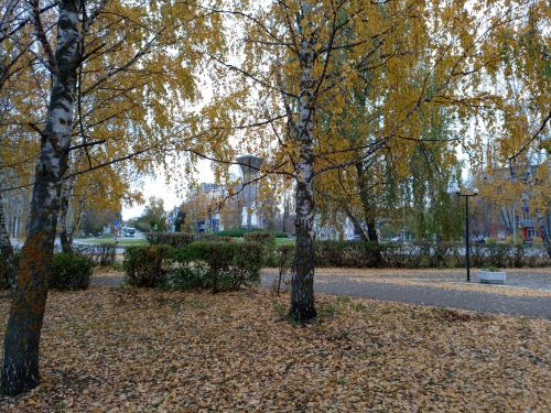 В Бугульме 14 октября небольшая облачность, прохладно