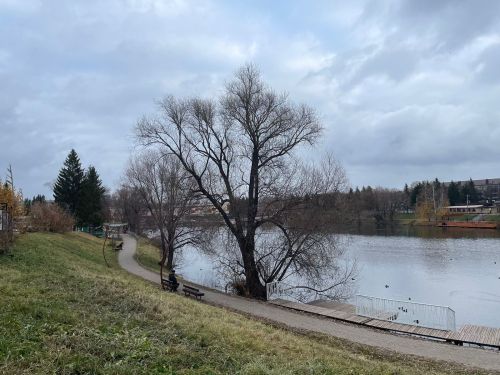 В Бугульме 2 ноября потеплеет
