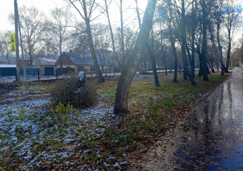 В Бугульме 11 ноября пасмурно, значительная облачность