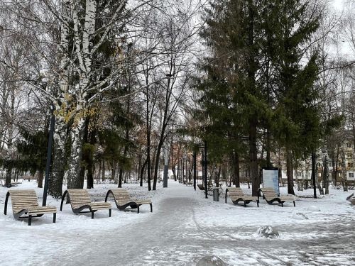 В Бугульме 29 ноября переменная облачность и без осадков
