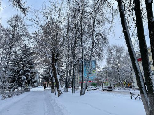 В Бугульме сегодня будет малооблачно и морозно