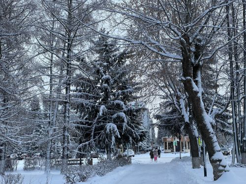 В Бугульме 27 декабря пасмурно