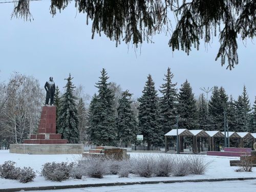 Сегодня в Бугульме облачно и морозно