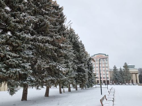 В Бугульме 11 декабря ожидается легкий мороз
