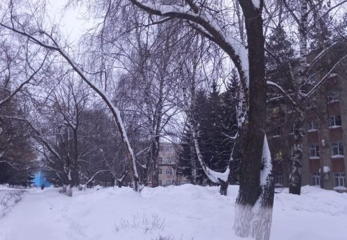 В Бугульме будет пасмурно и снежно