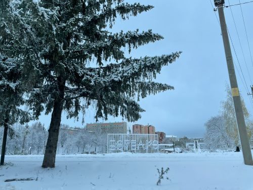 В Бугульме новая неделя начнется с мороза и легкого снега