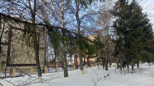 Ясная погода, без осадков ожидается в Бугульме в понедельник
