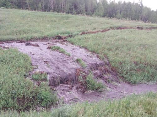 В Бугульминском районе из-за ливня подтопило село