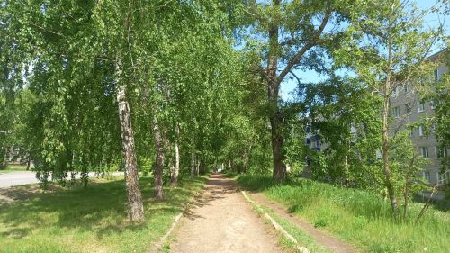 Сегодня в Бугульме будет тепло и немного облачно