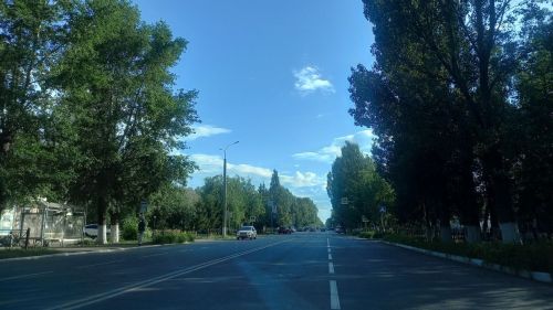 17 июля в Бугульме облачно и без осадков