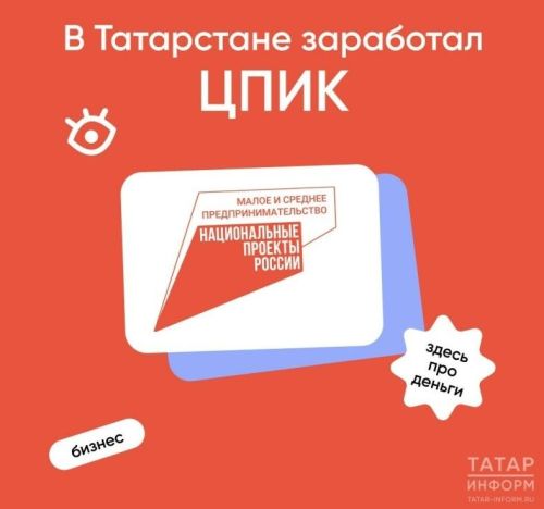 Новый сервис для предпринимателей заработал в Татарстане по национальному проекту
