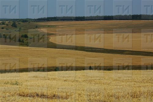 В Бугульминский район планируются поставки экологичных удобрений