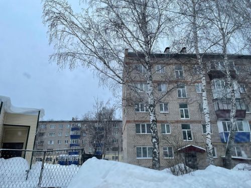 В Бугульме 17 января облачно и возможен снег