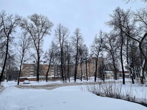 В Бугульме 18 января облачно
