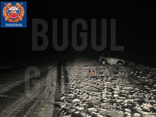 В последний день прошедшего года в Бугульминском районе в ДТП погиб пешеход