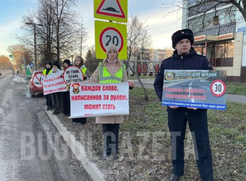В Бугульме прошла акция ко Всемирному дню памяти жертв ДТП