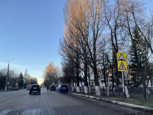 19 ноября в Бугульме ожидается пасмурная погода