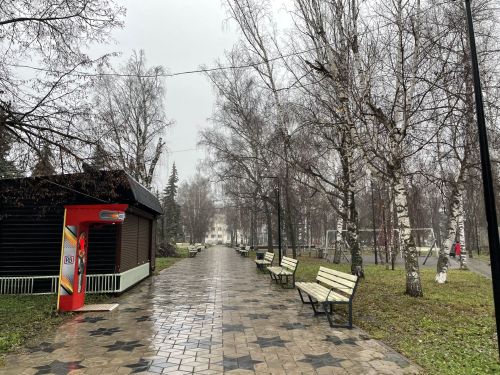 В Бугульме 22 ноября ожидается значительная облачность