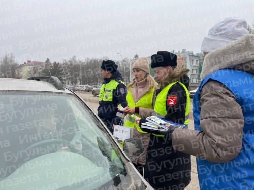 В Бугульме состоялась профилактическая акция, посвященная Дню мамы
