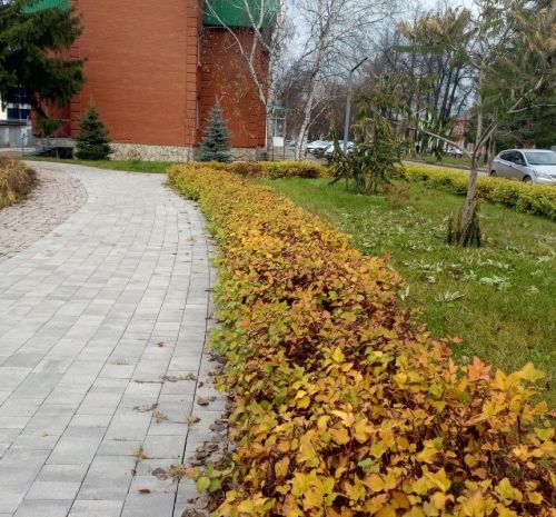 В Бугульме 6 ноября пасмурно