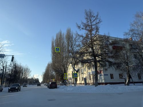 22 декабря в Бугульме ожидается значительная облачность