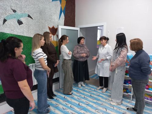 Родительский патруль проверил всё: как прошёл День открытых дверей в детском саду «Дельфин»