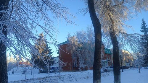 Сегодня днем в Бугульме ожидается ясная погода