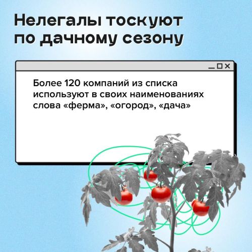 Как распознать финансовые пирамиды и другие нелегальные компании