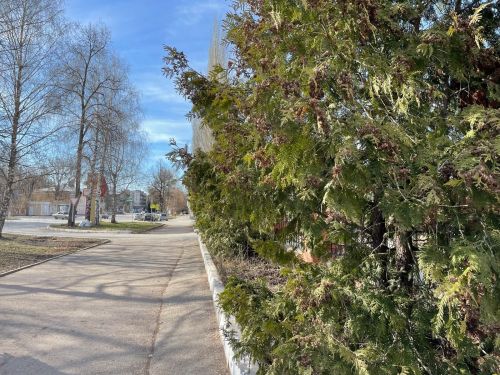 В Бугульме 19 апреля тепло и малооблачно